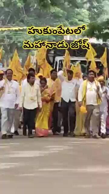 మహానాడు తో దద్దరిల్లిన అల్లూరి జిల్లా