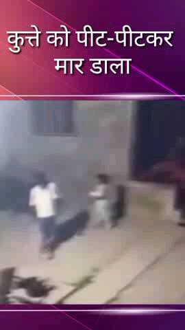 सरोजनी नगर: बिजनौर थाना अंतर्गत नटकुर गांव में कुत्ते की पीट-पीटकर हत्या