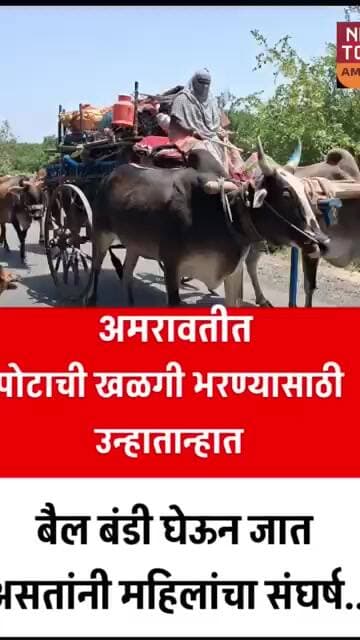 AMRAVATI :पोटाची खळगी भरण्यासाठी उन्हातान्हात महिलांचा संघर्ष