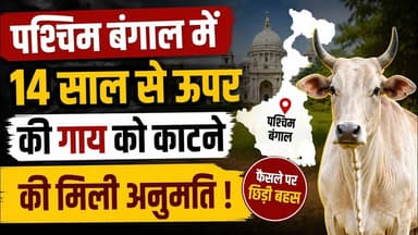 पश्चिम बंगाल में 14 साल के ऊपर की गाय को का* टने की मिली अनुमति #westbengal #cow