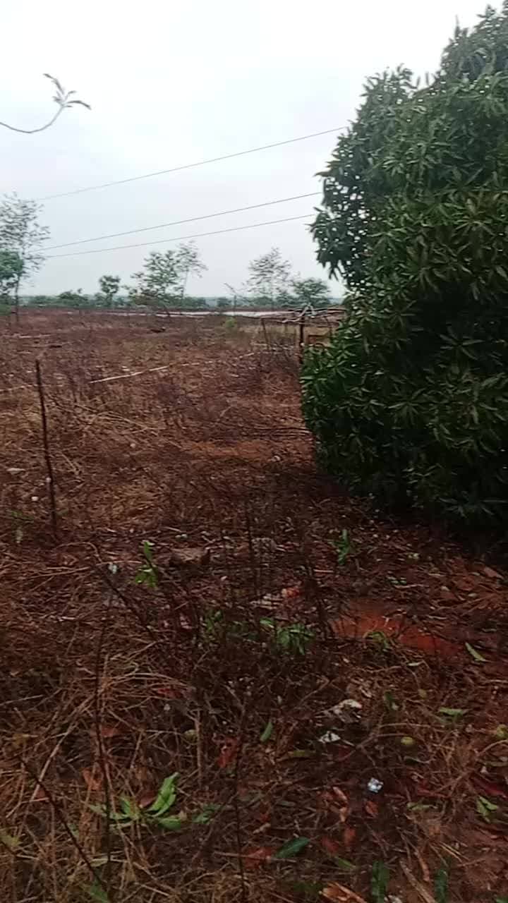 मिर्जापुर के मड़िहान में जोरदार आनी पानी#@आने पर बहुत क्षति हुआ है आज आज की रात में@#ऐसी आंधी पानी पहली बार देखे हम लोग
