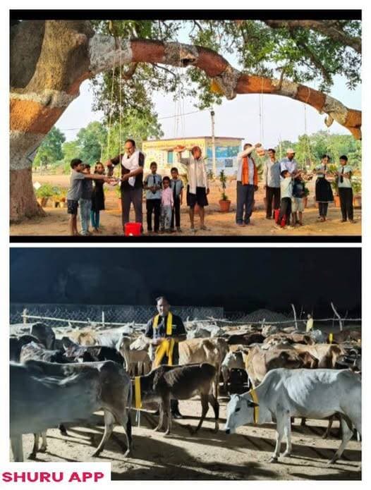 *शिक्षक शैलेंद्र का अनूठा अभियान: बेजुबानों को दाना-पानी, मवेशियों को सुरक्षा*
अपने क्षेत्र की सभी खबरें देखने और *खबरे...