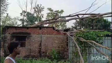 চাঁচল ১: নারায়নপুর এলাকায় বাড়ির উপরে ভেঙে পড়ল মস্ত বড় গাছ,ক্ষতিগ্রস্ত বাবা-ছেলের বাড়ির