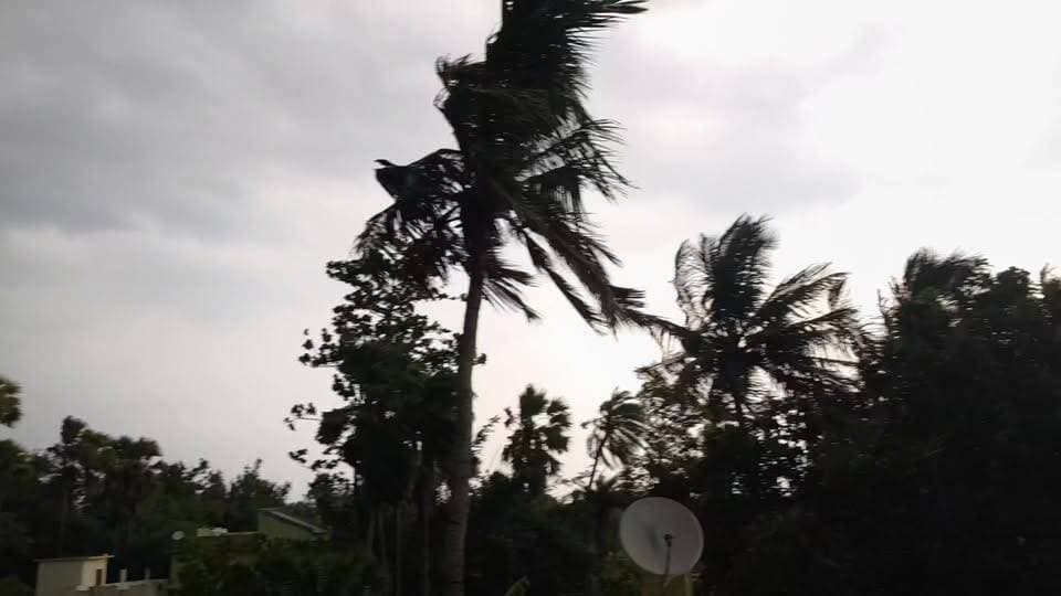 बारिश से पहले देखें किस तरह से अमरपुर में छाया था घनघोर अंधेरा। #BreakingNews #banka #अमरपुर #आंधी