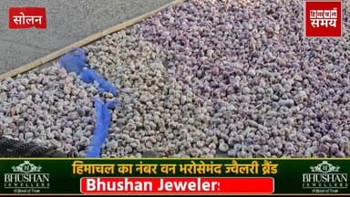 लहसुन का बंपर उत्पादन, लेकिन थम गए दाम
हिमाचल समय - Himachal Samay Media #cmsukhu #solan #BJPGovernment #breakinfnews #e...