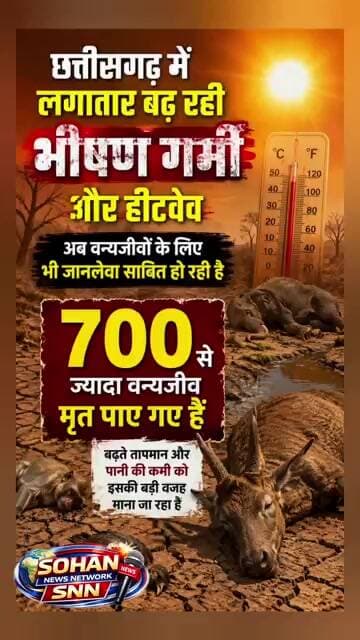 छत्तीसगढ़ में भीषण गर्मी का कहर! 700+ वन्यजीवों की मौत | Heatwave Breaking News