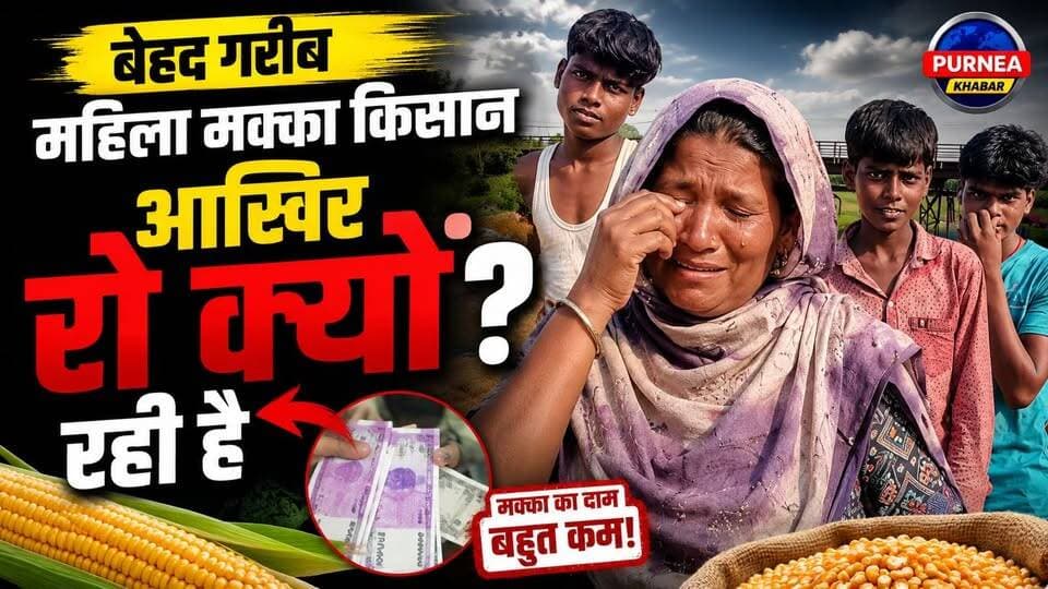 बारिश से मक्का किसान बेहाल! MSP नहीं मिलने से भारी घाटा 😢🌧️🌾
#MakkaKisan #CropDamage #MSPForFarmers #BiharAgriculture #...