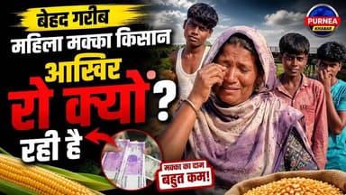 मक्का किसानों पर कुदरत का कहर! बेमौसम बारिश से फसल तबाह, सरकार से MSP की मांग 🚜💔
#MakkaKisan #CropDamage #MSPForFarmers...