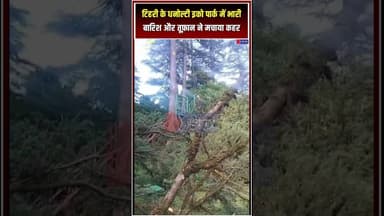टिहरी के धनोल्टी इको पार्क में भारी बारिश और तूफ़ान ने मचाया कहर #Dhanaulti #TehriGarhwal