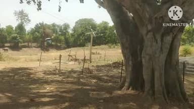 पाली: ग्राम भौंता के पास हाई टेंशन लाइन के लगभग पांच खंबे टूटने से बिजली आपूर्ति बाधित, लोग परेशान