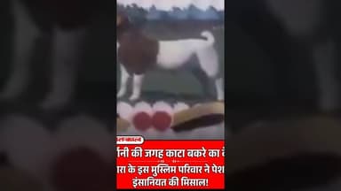 आगरा में 'बकरीद पर बकरे की जगह बकरा केक काटने' की पहल चर्चा में रही है #reel#viral #MathuraVrindavan