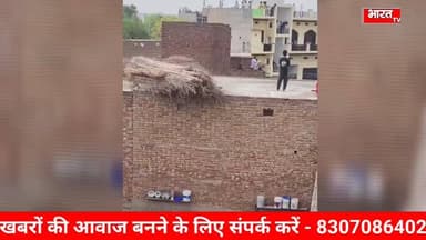 Mewat- ईद के दूसरे दिन नई गांव में जमकर चले पत्थर व लाठी, 7 लोग गंभीर रूप से घायल...
#mewatireel #मेवात #मेवाती #mewati...