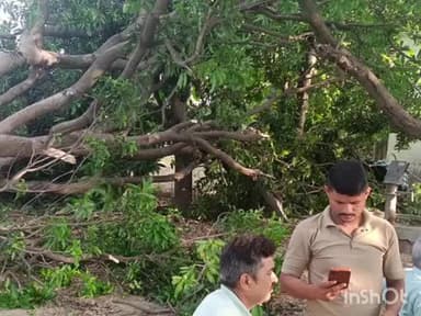 अकबरपुर: हुसैनपुर बीबीपुर में आम के पेड़ से दबकर महिला की मौत, इलाज के दौरान तोड़ा दम, पुलिस ने शव को पीएम के लिए भेजा
