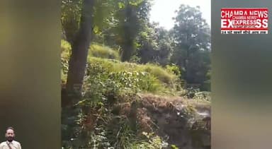 तीसा की ग्राम पंचायत देहरोग मे अज्ञात व्यक्तियों द्वारा सेब के 250 पौधे काटे, शिकायत दर्ज #cmohp #spkhp #dcchamba #bhati...