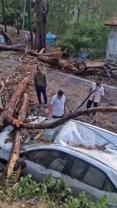 कोटद्वार-दुगड्डा-लैंसडाउन मोटर मार्ग पर आंधी तूफ़ान के बीच 2 गाड़ियो के ऊपर गिरा चीड़ का पेड़, बाल-बाल बची पर्यटकों की ...