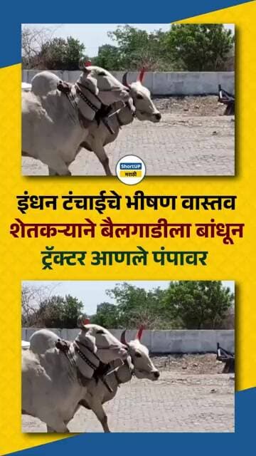 डिझेल तुटवड्याचा तीव्र फटका, डिझेल संपल्याने शेतकऱ्याने बैलगाडीला ट्रॅक्टर बांधून गाठला पेट्रोल पंप