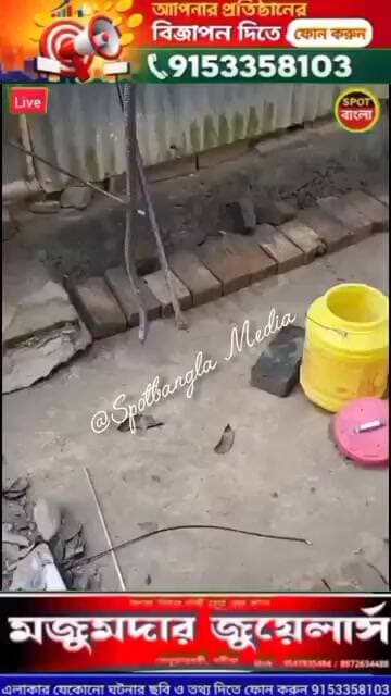 #viral