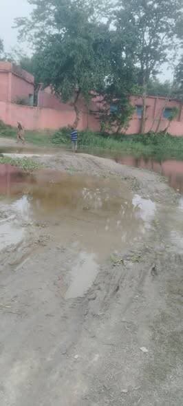 टेढ़ागाछ का यह एक अयसा सरकारी स्कूल है जहां बच्चे जान जोखिम में डालकर पढ़ने जाते,इस पर ध्यान ना शासन ना प्रशासन का आकर्ष...