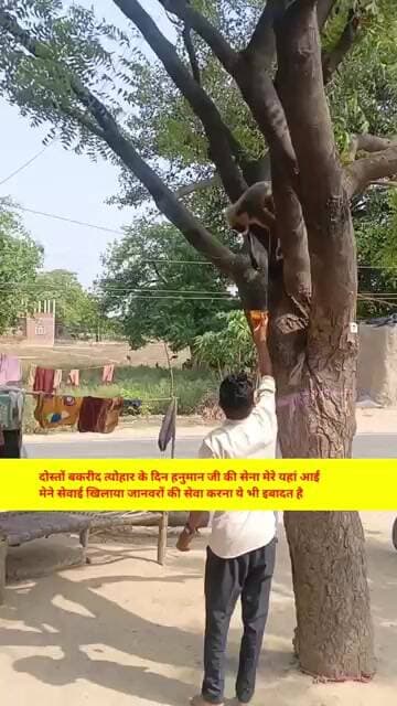 जानवरों की सेवा करना ये भी इबादत है #shorts #aajtak #aajtak #ayodhyanews #cmyogi #bhojpurisong