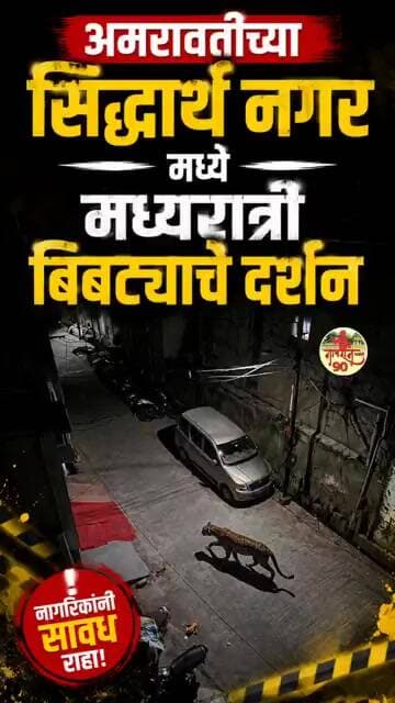 अमरावतीत भर वस्तीत बिबट्याचा शिरकाव मध्यरात्री झाले दर्शन 🐆🐆#gavran90