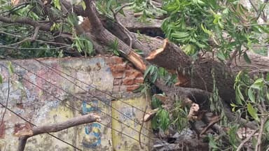 ସୋନପୁର: ସହର ସମେତ ଜିଲ୍ଲାର ବିଭିନ୍ନ ସ୍ଥାନରେ କାଳ ବୈଶାଖୀ ର ତାଣ୍ଡବ ଯୋଗୁଁ ଜନଜୀବନ ଅସ୍ତ ବ୍ୟସ୍ତ ହୋଇ ପଡିଛି