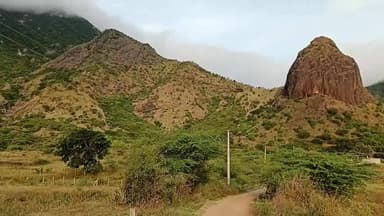 உத்தமபாளையம்: தமிழகம் கேரளாவை இணைக்கும் சாக்க லூத்து மெட்டு வனசாலையை கம்பம் எம்எல்ஏ நடைபயணமாக சென்று ஆய்வு செய்தார்