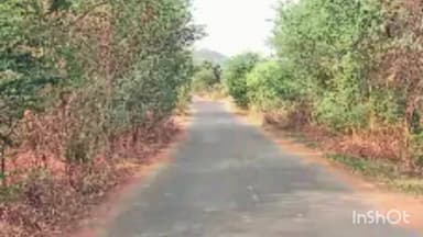 बागबाहरा: कोमाखान-नर्रा-खट्टी मार्ग पर कटीली झाड़ियों से घिरा रास्ता, अंधे मोड़ों पर बढ़ा हादसे का खतरा