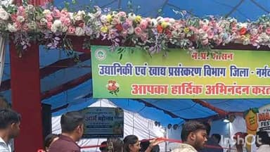 होशंगाबाद नगर: सेठानी घाट पर आज से दो दिवसीय आम महोत्सव मेला आयोजित, 140 से अधिक किस्मों के आमों की लगी प्रदर्शनी