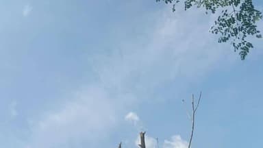 আমবাসা: ধলাই জেলার আকাশ পরিষ্কার বৃষ্টি হওয়ার সম্ভাবনা নেই
