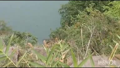 डलहौज़ी: संदिग्ध परिस्थितियों में लापता 22 वर्षीय युवक, सड़क किनारे मिले चप्पल और गाड़ी का टायर