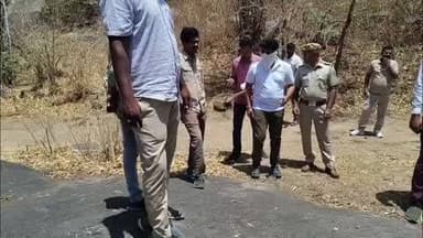 आबू रोड: माउंटआबू के नेचर ट्रेल के पास मादा भालू का शव मिलने से मचा हड़कंप, वन विभाग ने गश्त के दौरान किया शव बरामद