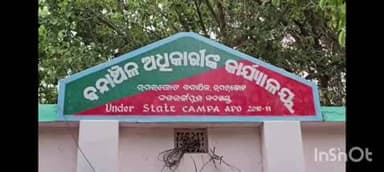 ଉମରକୋଟ: ନାୟକଗୁଡା ନିକଟରେ କଇଁଛ ବିକ୍ରି କରୁଥିବା ସମୟରେ ବନ ବିଭାଗର ଚଢ଼ାଉ, ୨୨ଟି କଇଁଛ ଜବତ