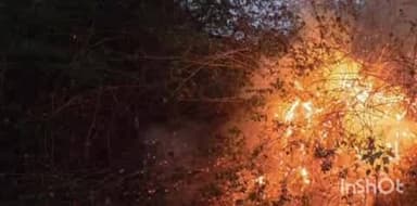 बागेश्वर: जोशीगांव क्षेत्र में आग लगाने की आरोपी महिला के खिलाफ की गई कार्रवाई