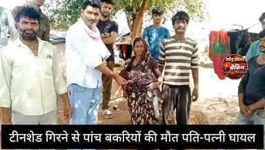 शिवपुरी-कोलारस क्षेत्र में तेज आंधी का कहर टीनशेड गिरने से पांच बकरियों की मौत, दंपति घायल..
#monupradhan #shivpuri मोन...