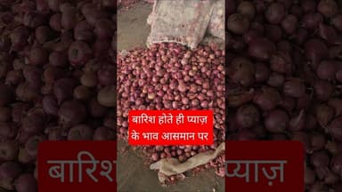 बारिश होते ही प्याज़ के भाव आसमान पर #pyajbhav
