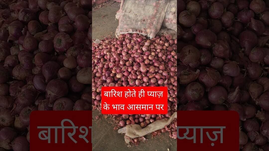 बारिश होते ही प्याज़ के भाव आसमान पर #pyajbhav
