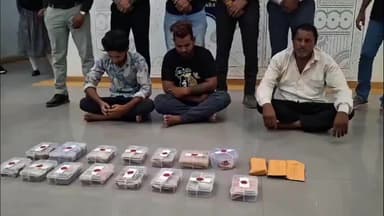 ગાંધીનગર: રૂપાલ વરદાયિની માતાજી મંદિર પરિસરમાં ખોડીયાર માતાજીના મંદિર ચોરી કરનાર 3 ઝડપાયા