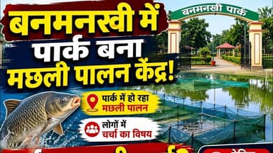 बनमनखी में पार्क बना मछली पालन केंद्र #bihar #reachout #viralpost #foryouシ ##reach #Banmankhi