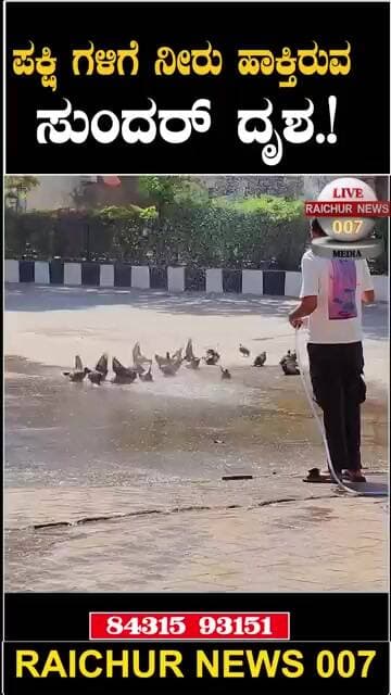 ಪಕ್ಷಿಗಳಿಗೆ ತಣ್ಣೀರಿನ ಸ್ನಾನ
