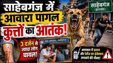 #Sahibganj: #आवारा_कुत्तों का आ"तंक: शहर में तीन दर्जन से ज्यादा लोग घा@yal... दहशत में शहरवासी...