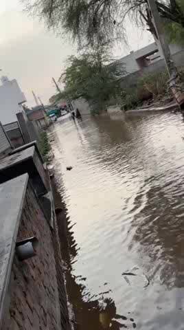 राजगढ़: राजगढ़ के वार्ड 39 में टूटी पाइपलाइन और जलभराव से हाहाकार, घरों में पहुंच रहा गंदा पानी
