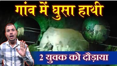 #sarangarh news : गावं मेँ घुसा हाथी,,, 2 युवक को दौड़ाया