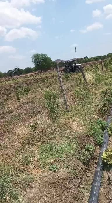 ग्राम पंचायत घोरकाट से अश्वानी कुशवाहा जिसमें सीमांकन दौरान मेरी जमीन पर दद्दन उर्मिला धीरू मिथिलेश प्रदीप ने विरोध किय