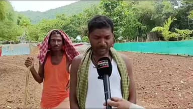 ମାଲକାନଗିରି: ଚାଷ ଚିନ୍ତାରେ ଚିତ୍ରକୋଣ୍ଡା ଚାଷୀ, ନିଅଣ୍ଟିଆ ବର୍ଷା ଆକଳନ ପରେ ପଡ଼ିଛି ଚଡ଼କ ନେଇ ଚାଷୀଙ୍କ ପ୍ରତିକ୍ରିୟା