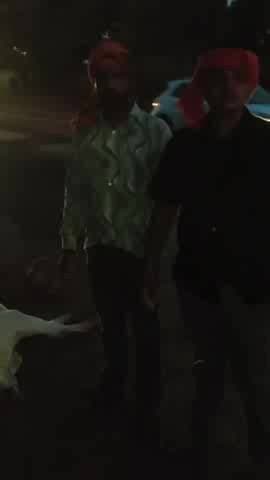 करंट लगने से गाय की हुई दर्दनाक मौत, ग्रामीणों में आक्रोश का माहौल