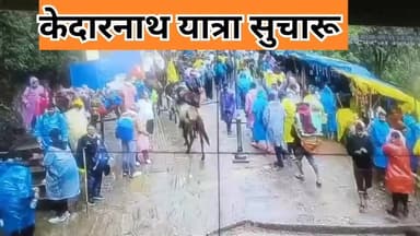 बारिश रुकते ही केदारनाथ यात्रा सुचारू रूप से शुरू #viralreelsシ #facebookreelsviral #facebookreels #pahadnews #facebookv...