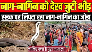 सागर में नाग-नागिन को देख जुटी भीड़, सड़क पर लिपटा रहा नाग-नागिन का जोड़ा !
#BinaNews #SagarNews #NagNagin #SnakeMating...