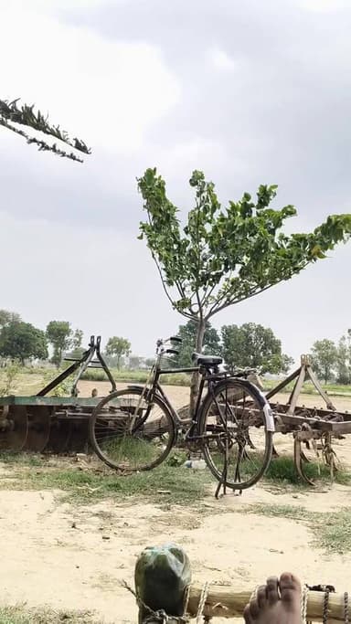 आज हुआ मौसम मस्त सर्दी ना गर्मी ना ठंडक