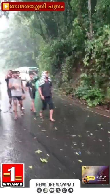 ശക്തമായ മഴയിൽ താമരശ്ശേരി ചുരത്തിലെ രണ്ടാം വളവിൽ മരം കടപുഴകി വീണ് ഗതാഗത തടസ്സം നേരിടുന്നു ചൂരത്തിന്റെ ഇരു ഭാഗങ്ങളിലുമായി...
