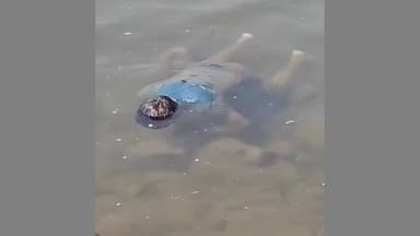 महेश्वर: नर्मदा में डूबे युवक का शव मिला, दोस्त बाइक लेकर भागा, परिवार ने कहा- मदद करता तो बच जाती जान